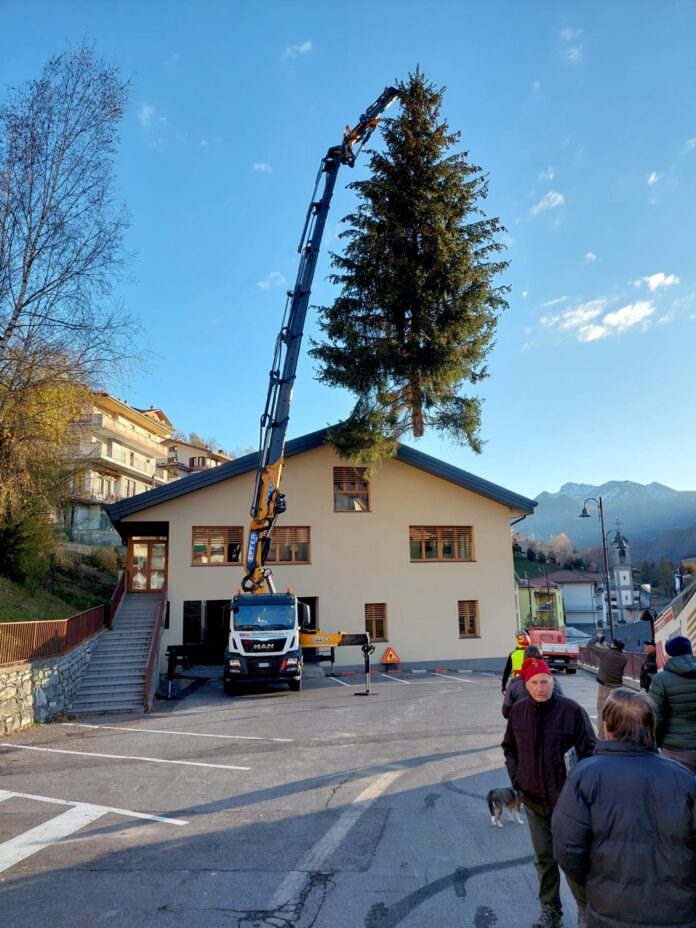 GORNO - Per il terzo anno la valle regala l’albero di Natale a Bergamo
